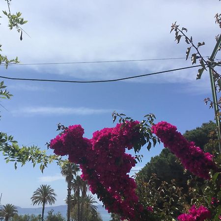 L'Ilot Fleuri Hotel Le Lavandou Buitenkant foto