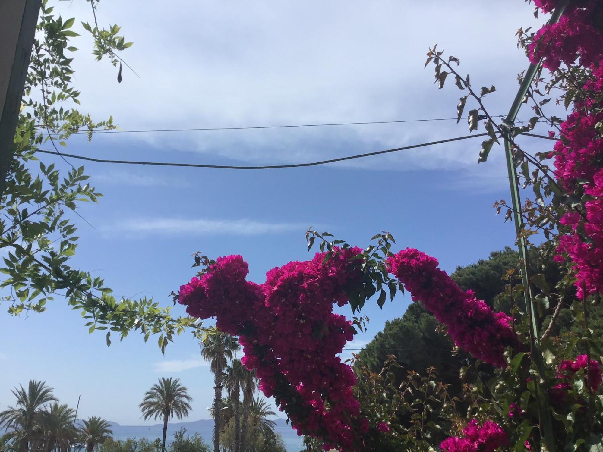 L'Ilot Fleuri Hotel Le Lavandou Buitenkant foto